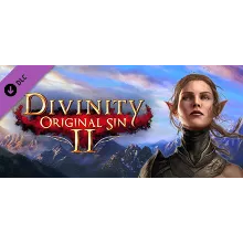 Divinity: Original Sin 2 - Divine Ascension (Steam RU)