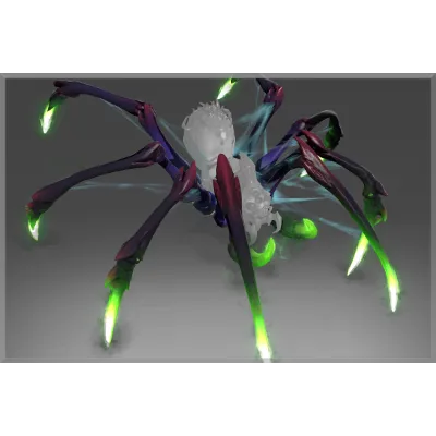 Limbs of Lycosidae - irongamers.ru