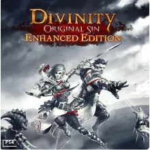 DIVINITY ORIGINAL SIN | PS4/PS5 | Turkey