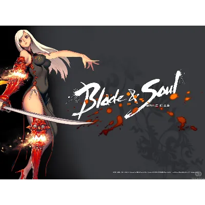 Blade and Soul Radiant Treasures Bundle 2 КОД GLOBAL - irongamers.ru