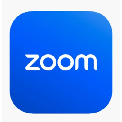 Подписка Zoom Зум Профессиональный [1/12 МЕСЯЦЕВ] - irongamers.ru