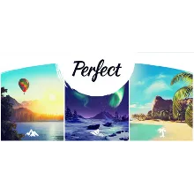 Perfect VR Steam Global + RU/CIS РФ СНГ Россия