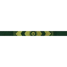 Destiny 2 - Emblem (Образ надежды) PC, PS, Xbox