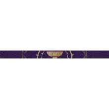 Destiny 2 - Emblem (Ложь в вине) PC, PS, Xbox