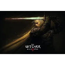THE WITCHER 3 [ONLINE STEAM] Полный доступ +