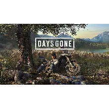 DAYS GONE [ONLINE STEAM] Полный доступ +