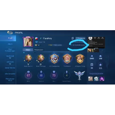 ⚡️Mobile Legends Алмазы 💎💎💎 ⚡️ - irongamers.ru
