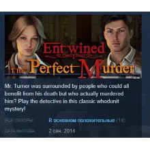 Entwined: The Perfect Murder STEAM KEY REGION FREE