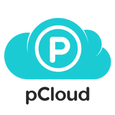 Cloud drive pCloud Family 2 TB Lifetime Access