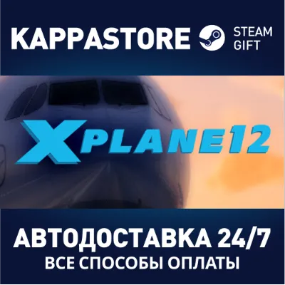 X-Plane 12 | Steam Gift Россия - irongamers.ru