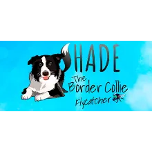 SHADE The Border Collie Flycatcher STEAM KEY GLOBAL