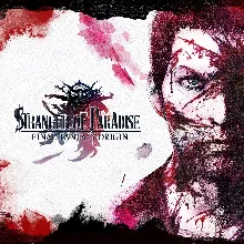 STRANGER OF PARADISE FINAL FANTASY ORIGIN DELUXE STEAM