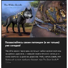 The Elder Scrolls Online: Dragon Slayer Bundle #2 ESO