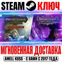 Pathfinder Collector’s Edition (2 в 1) Steam Ключ