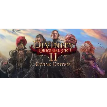 Divinity: Original Sin 2 - Divine Edition Steam Gift RU