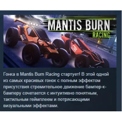 Mantis Burn Racing АВТОДОСТАВКА STEAM GLOBAL МГНОВЕННО ЛИЦЕНЗИЯ - irongamers.ru