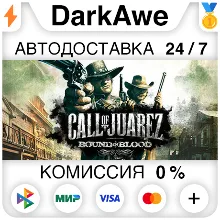 Call of Juarez: Bound in Blood STEAM•RU АВТО 0%