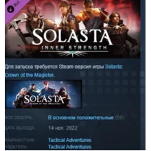 Solasta: Crown of the Magister - Inner Strength STEAM
