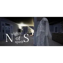 Night of Spirits (Steam Gift Россия)
