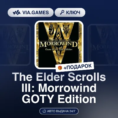 The Elder Scrolls III: Morrowind GOTY Edition (Steam Ключ) МИР (Не все страны) + ПОДА - irongamers.ru