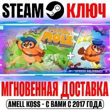 Mail Mole + 'Xpress Deliveries Steam Ключ РФ+Мир