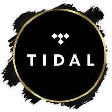 TIDAL HiFi Plus 1-2 МЕСЯЦА ПРИВАТНЫЙ АККАУНТ - irongamers.ru