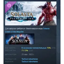 Solasta: Crown of the Magister - Palace of Ice АВТОДОСТАВКА STEAM GLOBAL МГНОВЕННО ЛИ
