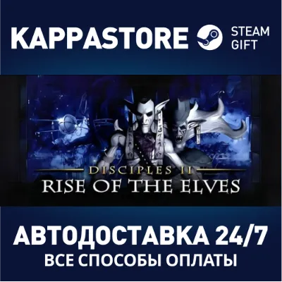 Disciples II: Rise of the Elves АВТОДОСТАВКА Steam - irongamers.ru