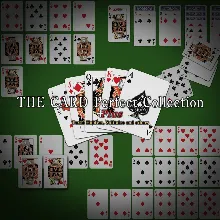 THE CARD Perfect Collection Plus Texas Hold XBOX КЛЮЧ