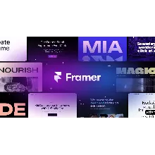 Framer | Basic, Pro - 1/12 months to your account