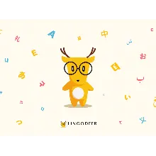 LingoDeer Premium | 1/12/∞ months to your account