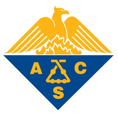 ACS  Access 1 месяц Доступ - irongamers.ru
