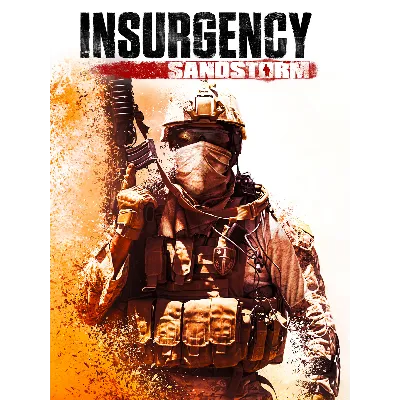 Insurgency: Sandstorm EPIC GAMES (PC) - irongamers.ru