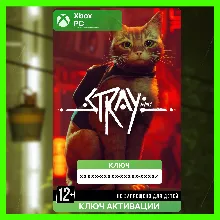 КЛЮЧ | STRAY (XBOX + PC)