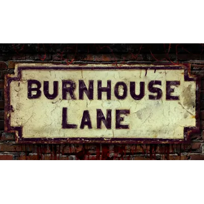 Burnhouse Lane | Steam РУ+UA+KZ+СНГ - irongamers.ru