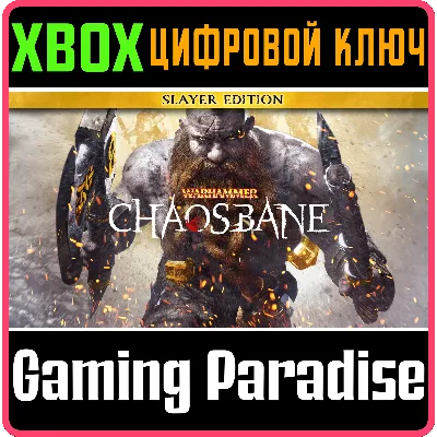 Warhammer: Chaosbane Slayer Edition Xbox Series X|S - irongamers.ru