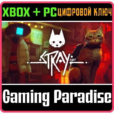 STRAY МОМЕНТАЛЬНО XBOX+ПК КЛЮЧ - irongamers.ru