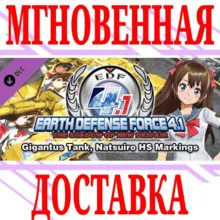 EFT 4.1 Gigantus Tank, Natsuiro HS Markings⭐Steam\Key⭐