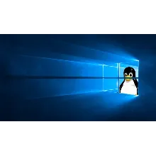 Pengwin Windows 10 ПК КЛЮЧ