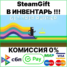 BIT.TRIP RUNNER [SteamGift/RU+CIS]