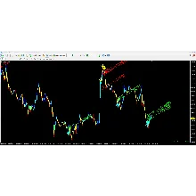 Forex ZUBR