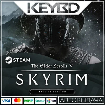 TES V: Skyrim · Special/Anniversary Edition · Steam RU - irongamers.ru