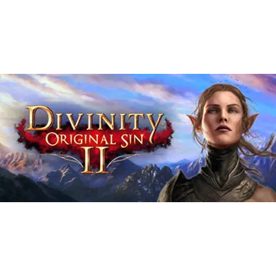 Divinity: Original Sin 2 - Divine Edition * STEAM RU - irongamers.ru