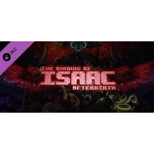The Binding of Isaac: Afterbirth DLC * STEAM RU