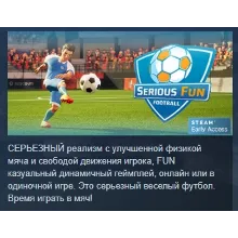 Serious Fun Football АВТОДОСТАВКА STEAM GIFT РОССИЯ