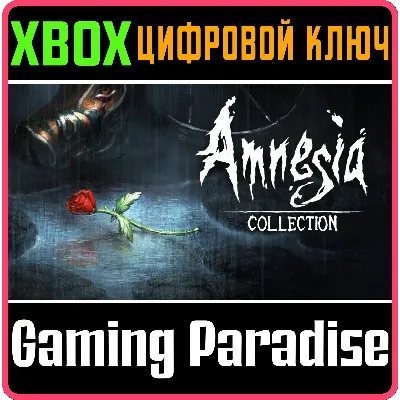 AMNESIA: COLLECTION XBOX ONE/X|S КЛЮЧ - irongamers.ru
