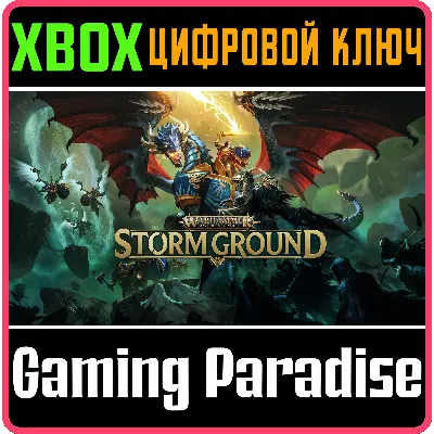 WARHAMMER AGE OF SIGMAR: STORM GROUND XBOX ONE/X|S - irongamers.ru