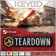Teardown · Steam Gift AUTO 0% Cards