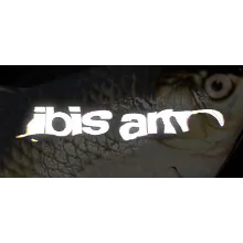 IBIS AM АВТОДОСТАВКА STEAM GLOBAL МГНОВЕННО ЛИЦЕНЗИЯ