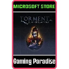 TORMENT: TIDES OF NUMENERA (PC WIN) КЛЮЧ